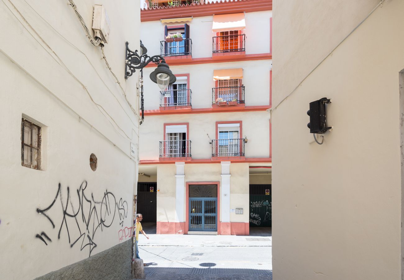 Apartamento en Málaga - MalagaSuite City Center Ollerías