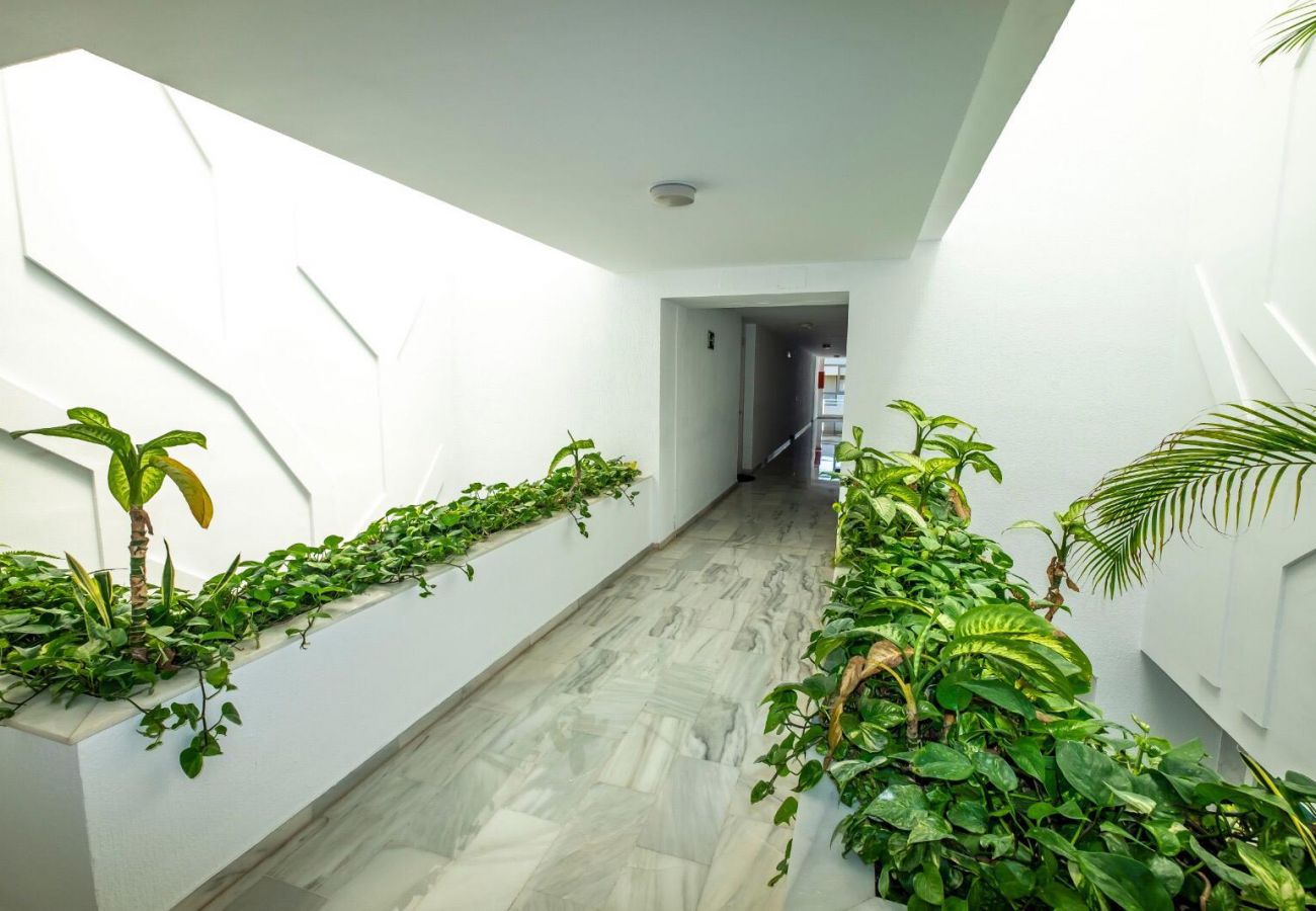 Apartamento en Torremolinos - MalagaSuite Costa del Sol