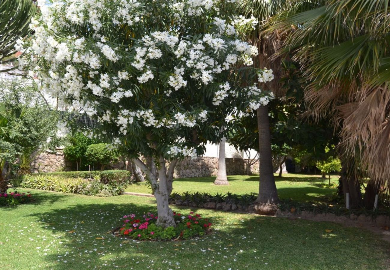 Apartamento en Torremolinos - MalagaSuite Wonderful Sunset Torremolinos