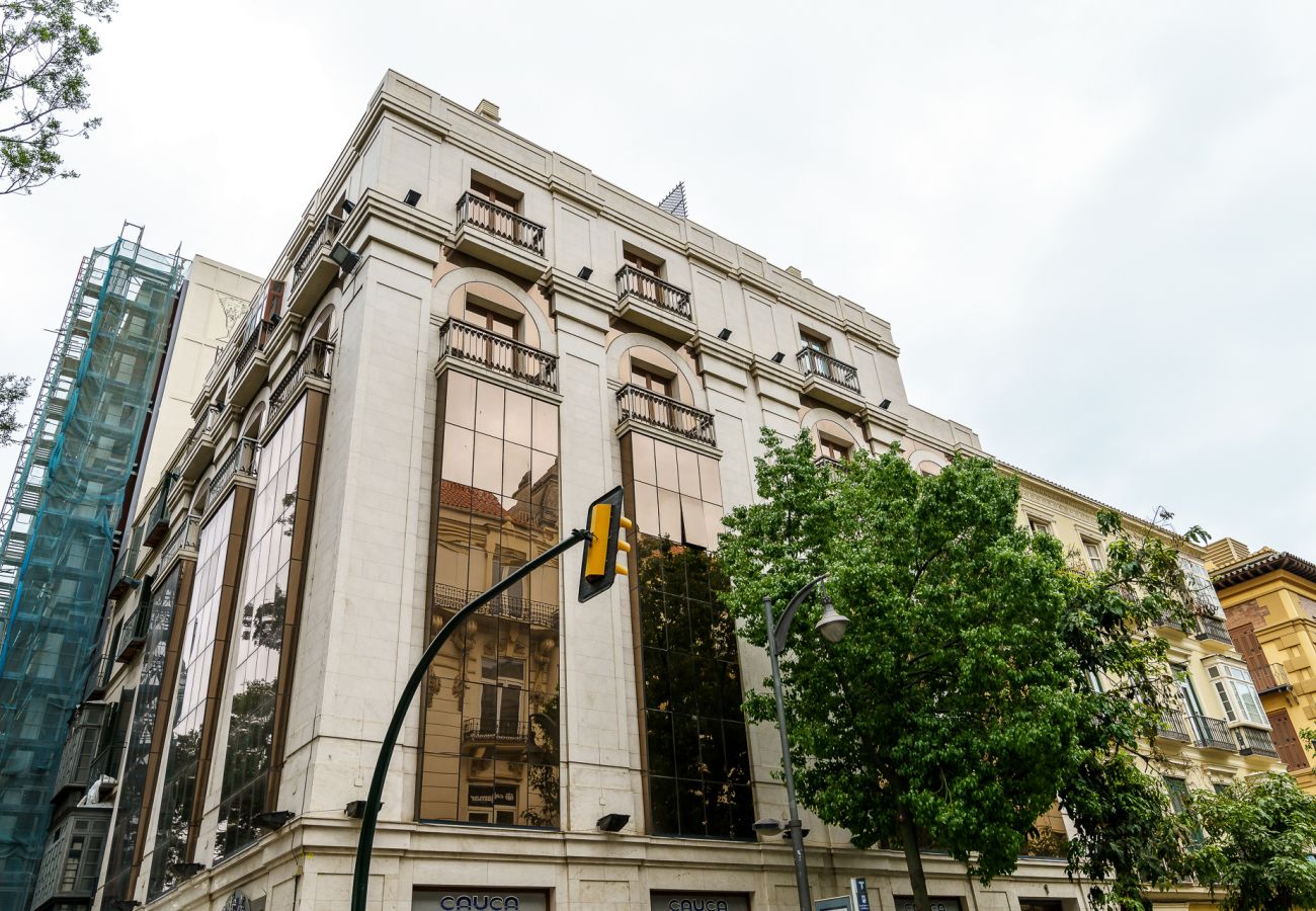 Apartamento en Málaga - MalagaSuite Soho apartment