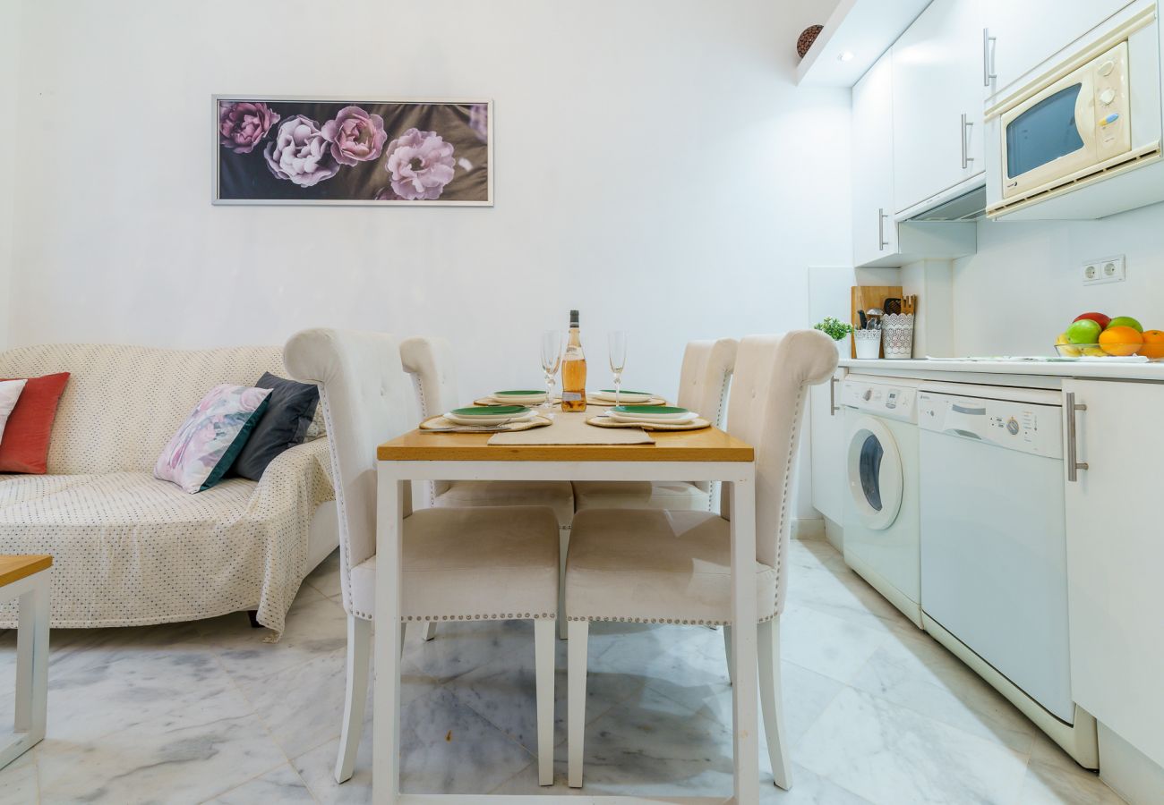 Apartamento en Málaga - MalagaSuite City Center Malaga