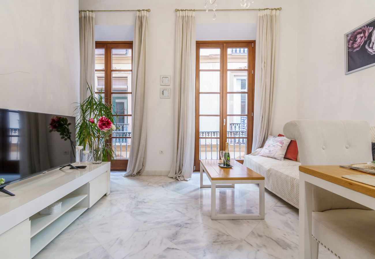 Apartamento en Málaga - MalagaSuite City Center Malaga