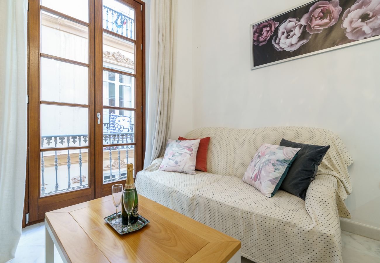 Apartamento en Málaga - MalagaSuite City Center Malaga
