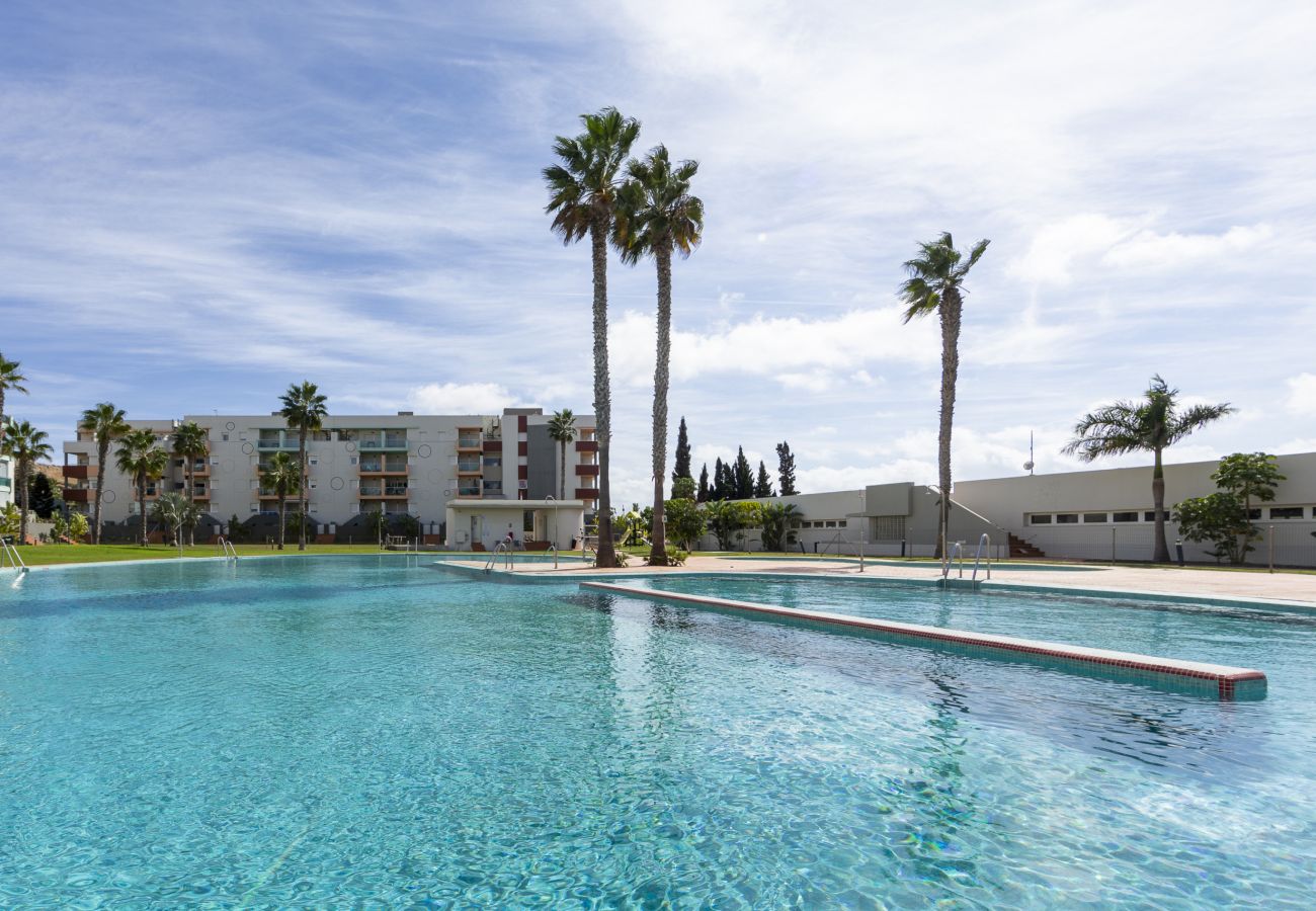 Apartamento en El Ejido - AlmeriaSuite Palm Beach