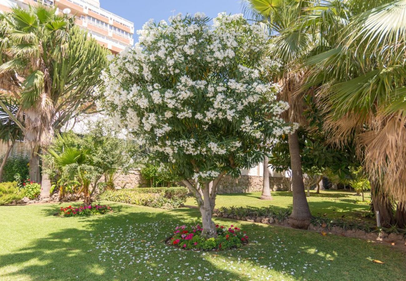 Apartment in Torremolinos - MalagaSuite Wonderful Sunset Torremolinos