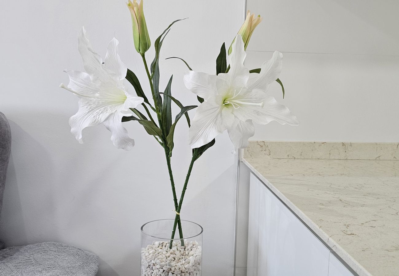 Apartment in Almería - AlmeriaSuite City Centre