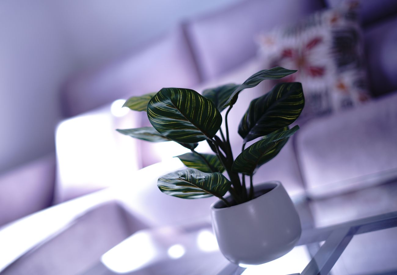 Appartamento a Málaga - MalagaSuite CozyNest Center