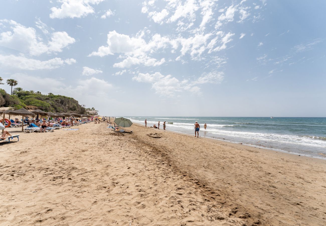 公寓 在 Marbella - MalagaSuite Sun Terrace Marbella